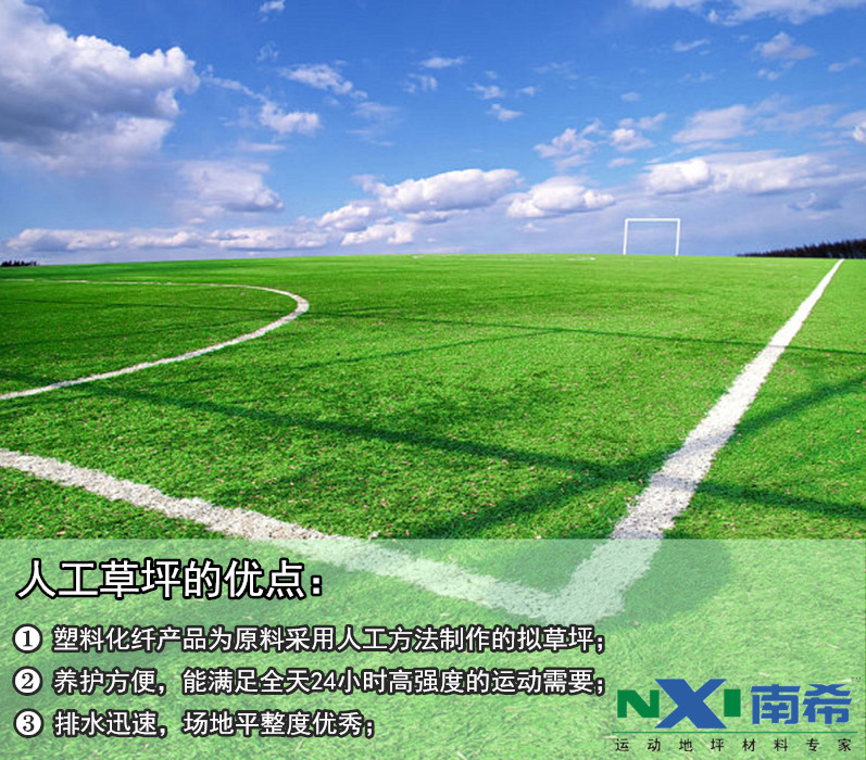 人工草坪介紹
